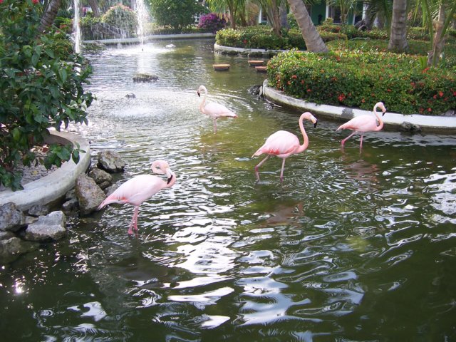lakebavaro6.jpg
