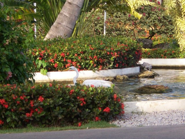lakebavaro8.jpg
