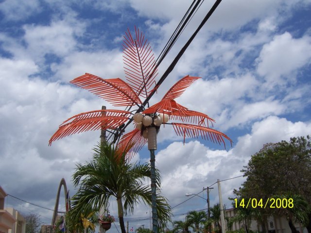 notenoughpalms.jpg