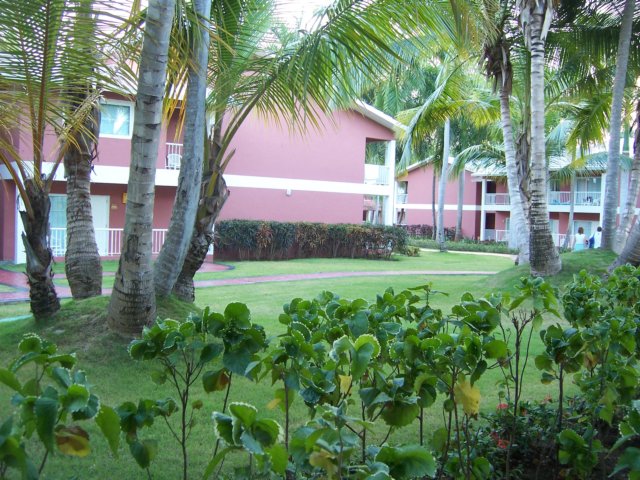 viewfrom6107.jpg