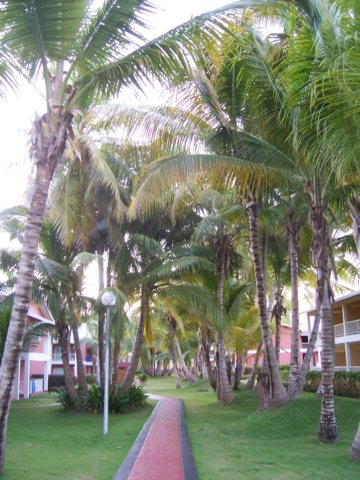 villa613.jpg